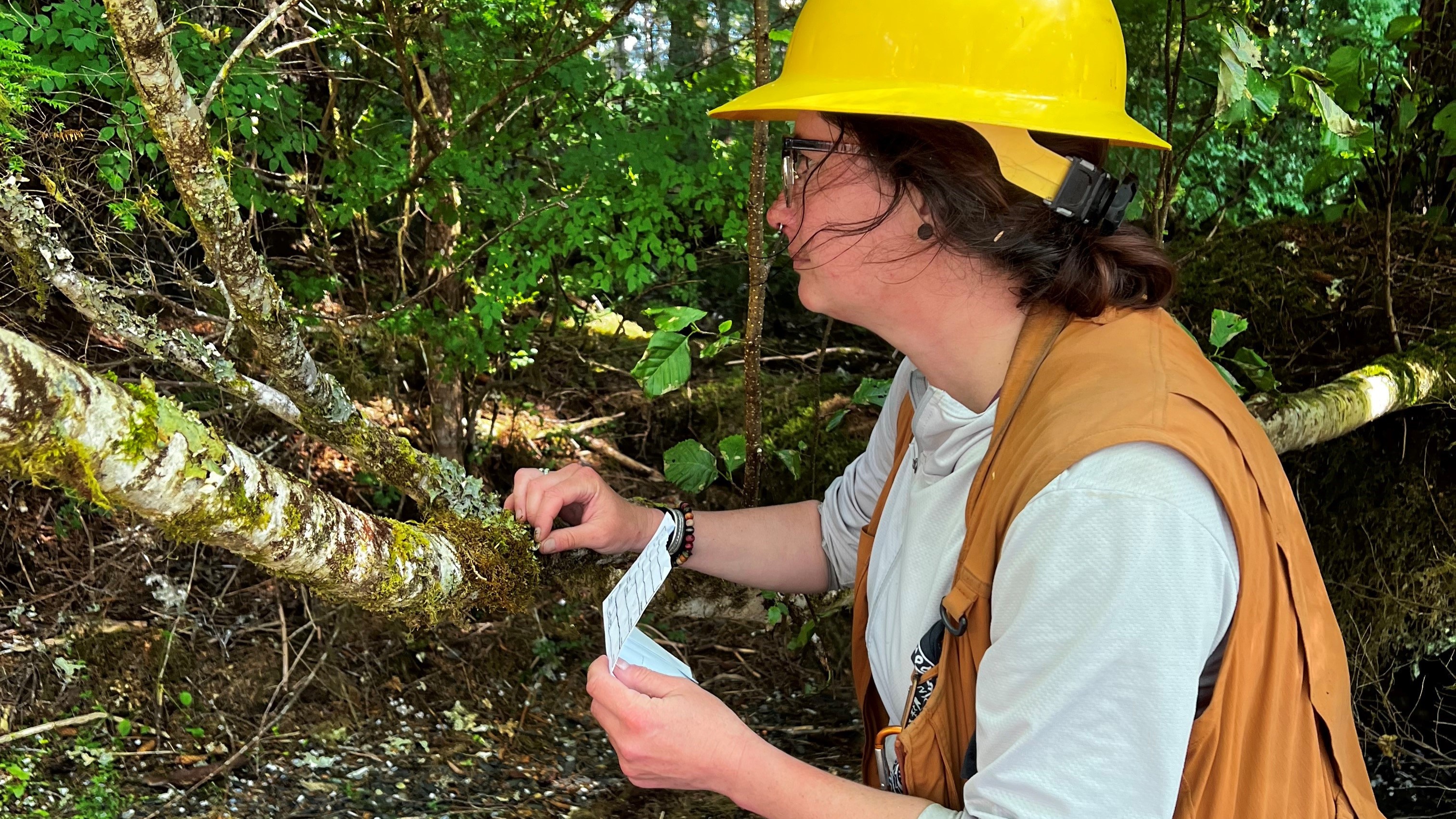 Elyse Tebenkof — Bay Wilderness