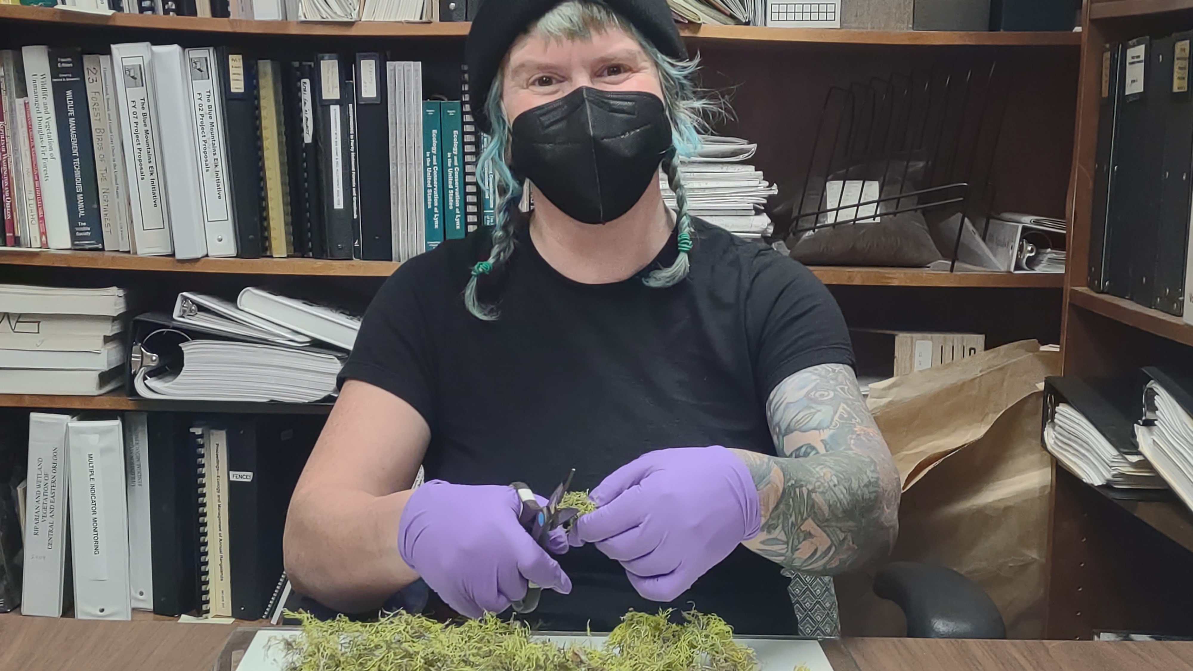 Tiffa — Malheur National Forest